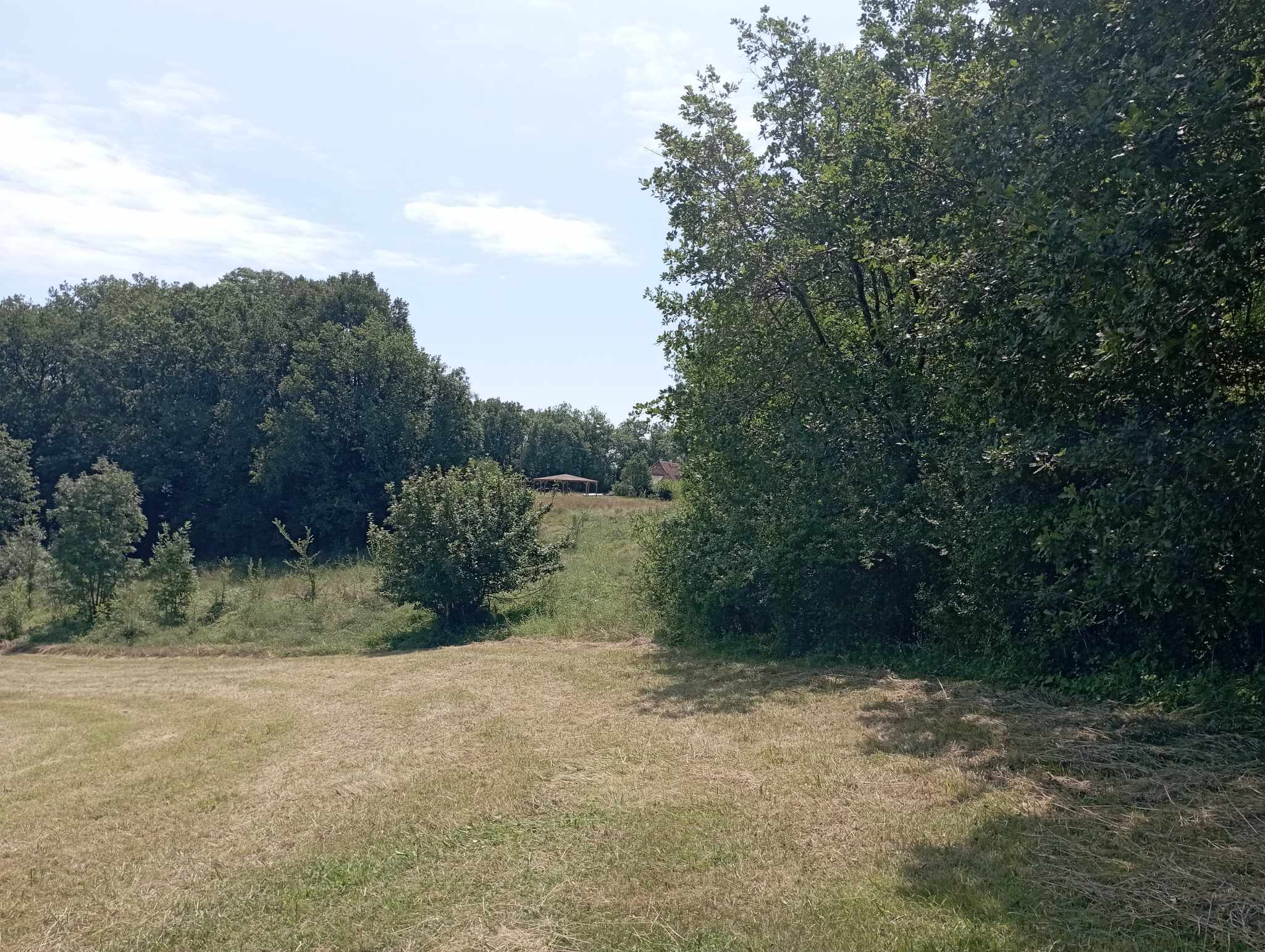 361419713 591805546472406 4792149653421724156 n